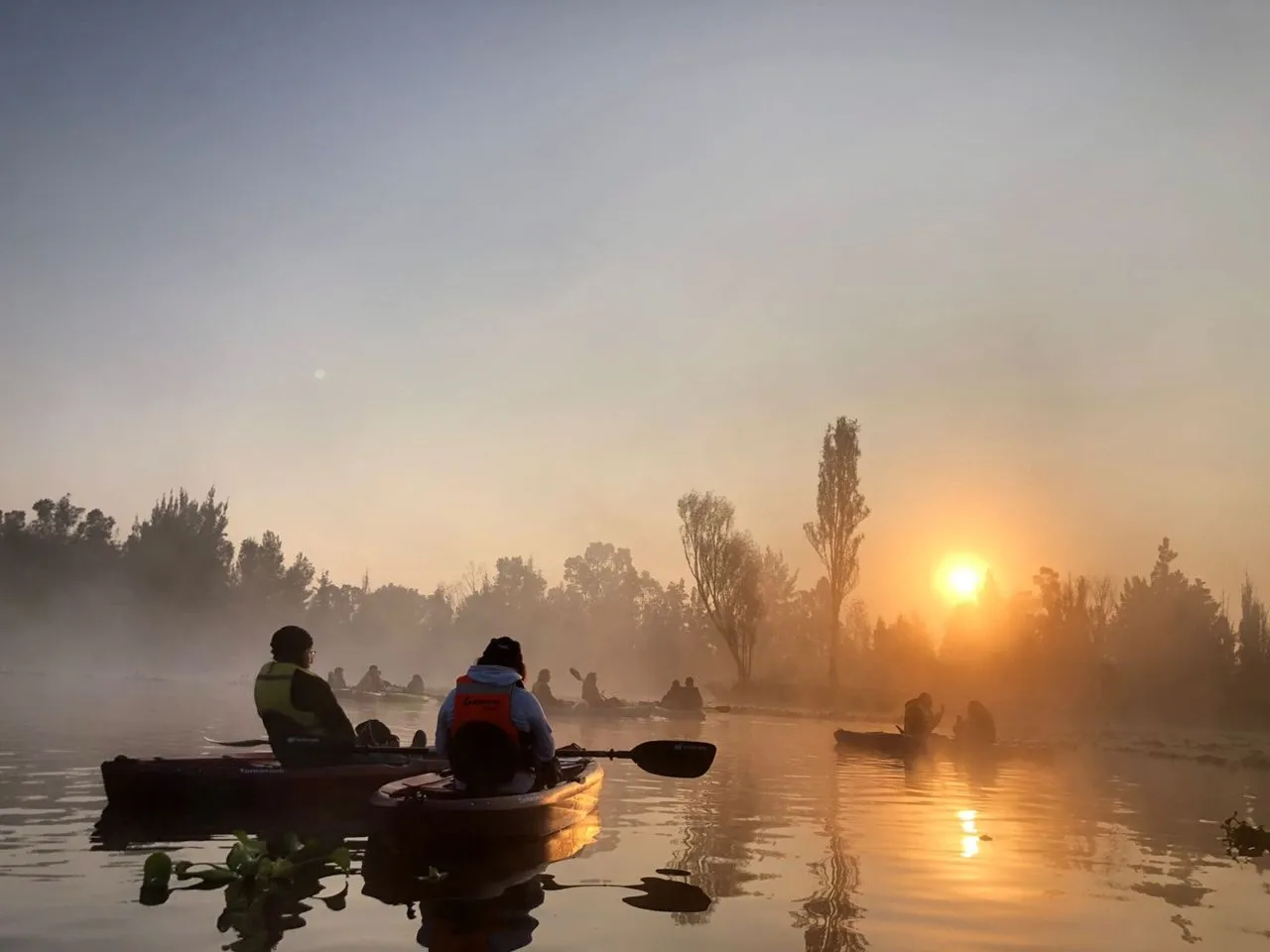 Kayak al amanecer en los canales de Xochimilco