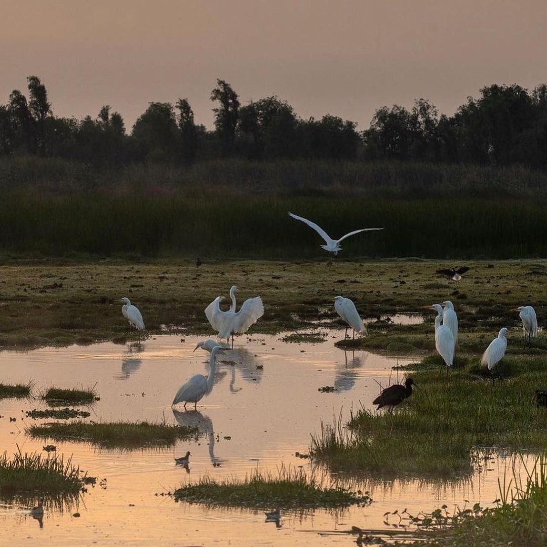 Tour en kayak entre las chinampas de Xochimilco